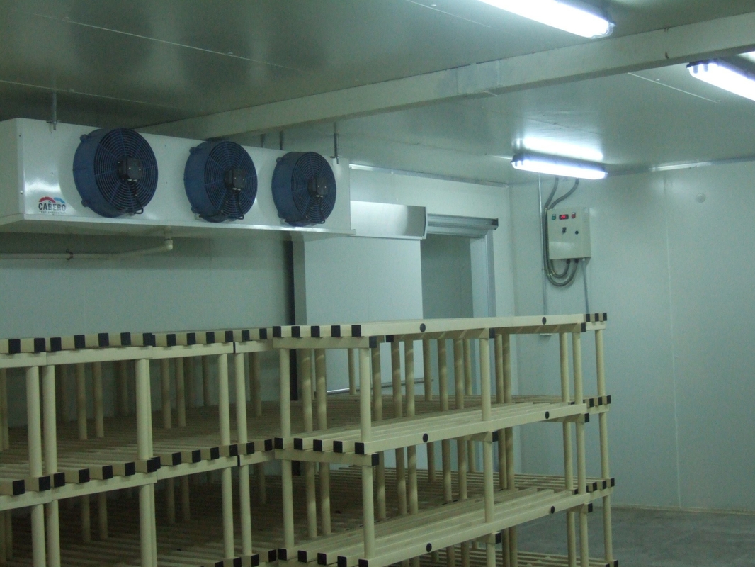 Cold Room for Butchery Dairy -10-0C Temperature and Customized Request