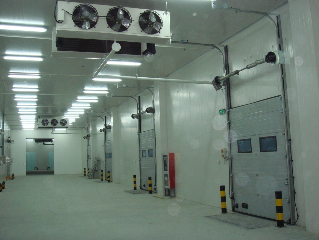 Home Using Solar Energy 18 Feet Container Cold Storage Room with Curtain Thermometer