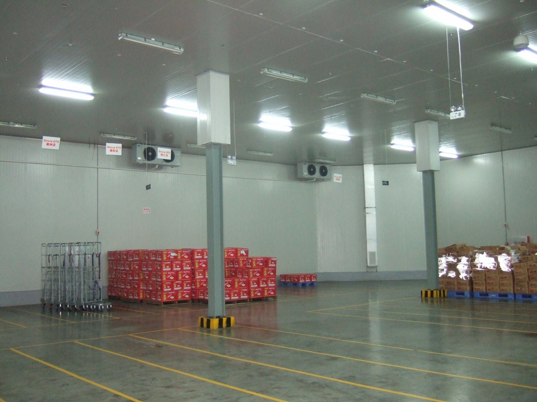 Home Using Solar Energy 18 Feet Container Cold Storage Room with Curtain Thermometer