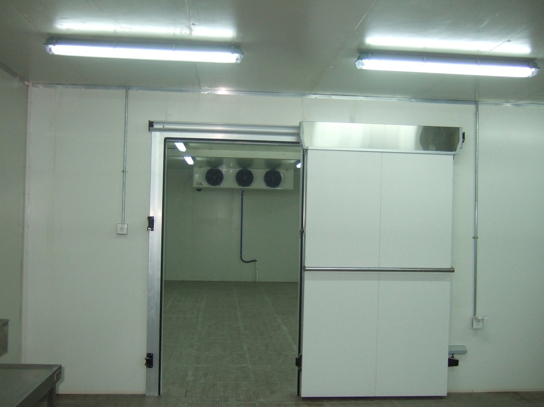 Home Using Solar Energy 18 Feet Container Cold Storage Room with Curtain Thermometer