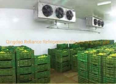 Small Cold Storage Room for Dairy Products and Beverages Powered by Freon Refrigerant