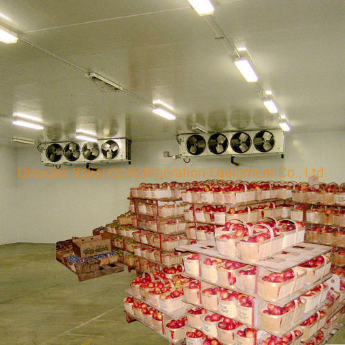 Small Cold Storage Room for Dairy Products and Beverages Powered by Freon Refrigerant