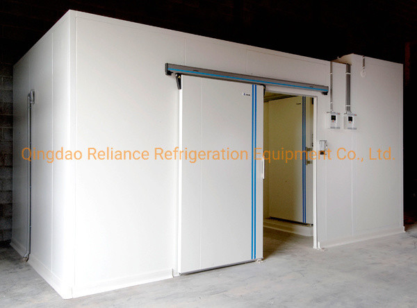 Customer Requirements COLDROOM7 CE Certification Cold Storage Room for Production Nature