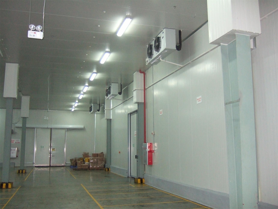 3*3*3m Frozen Meat Cold Room with Hinged Door 220V/380V/440V Voltage and 150mm Panel
