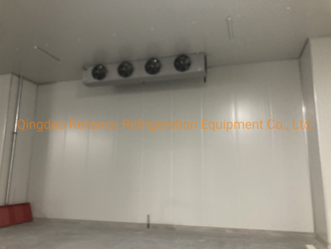 Small Refrigerant PU/PIR Sandwich Panel Cold Storage Cold Room for Storage Solutions