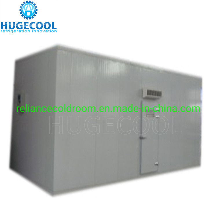 COLDROOM17 CE Certificated Deep Freezer Room Blast Freezer for Meat Pork Fish Seafood