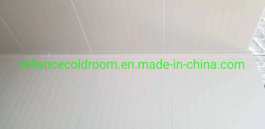 COLDROOM19 Walk in Freezer Chiller Room Cold Storage with Compressor Condensing Unit