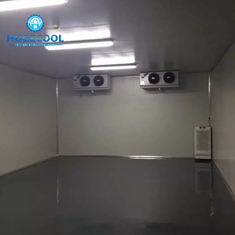Customization Customized Cold Room Chiller/Cooler/Freezer Room with Sandwich PU Panel