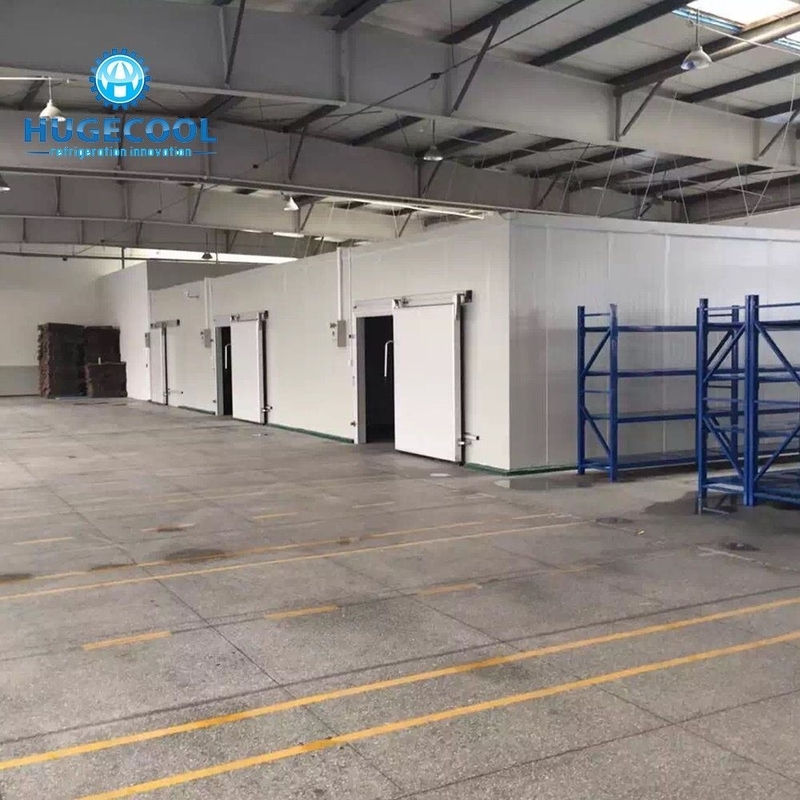 Customization Customized Cold Room Chiller/Cooler/Freezer Room with Sandwich PU Panel