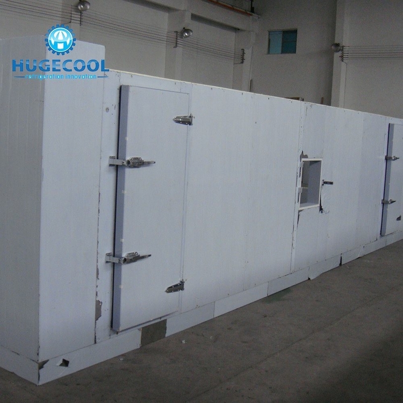 Assembled COLDROOM21 Customized Size Cold Storage Freezer/Chiller Room with Condensing Unit
