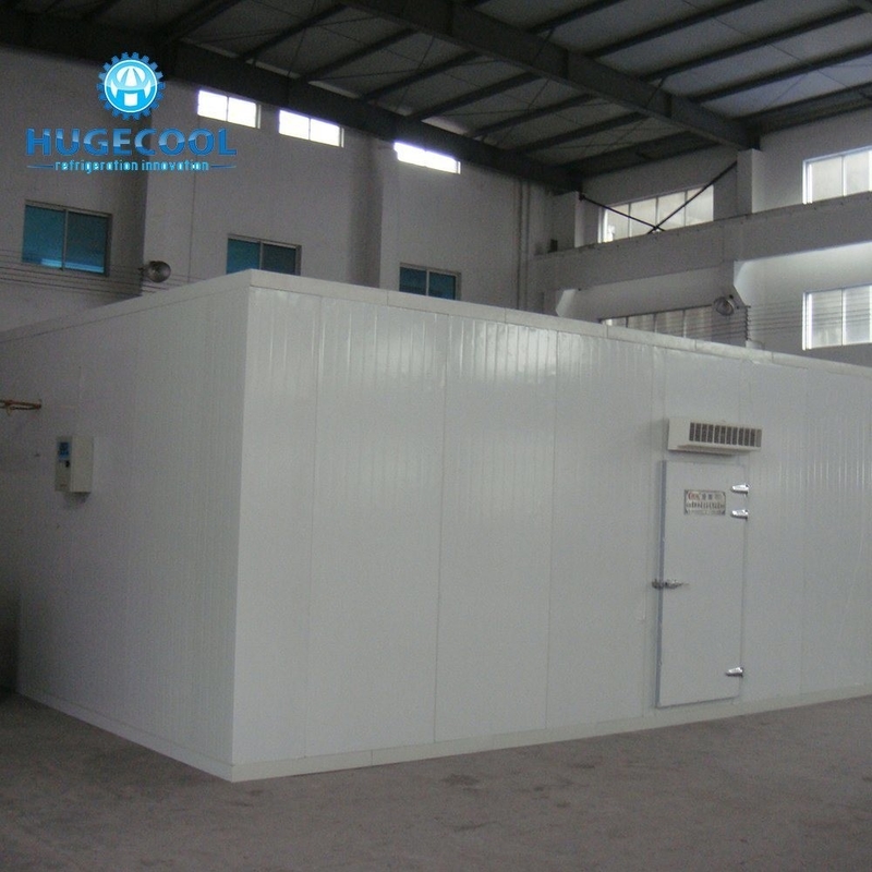 Assembled COLDROOM21 Customized Size Cold Storage Freezer/Chiller Room with Condensing Unit