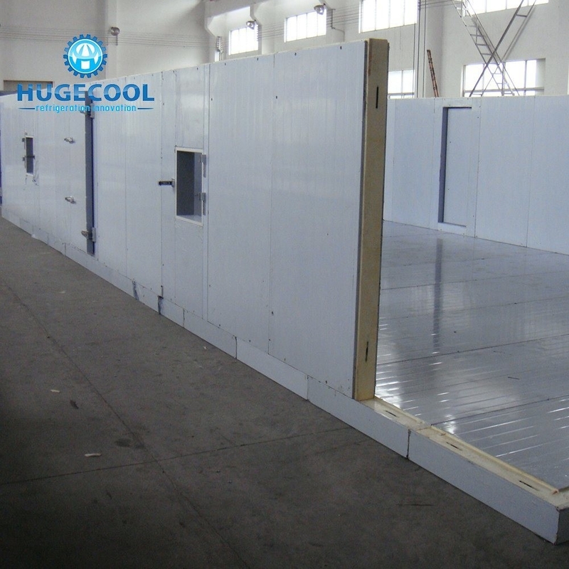 Assembled COLDROOM21 Customized Size Cold Storage Freezer/Chiller Room with Condensing Unit