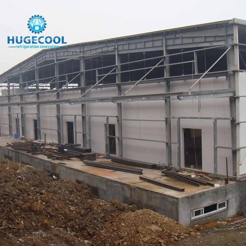 Assembled COLDROOM21 Customized Size Cold Storage Freezer/Chiller Room with Condensing Unit