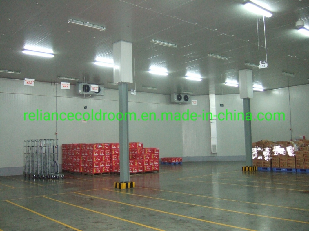 Small Walk in Freezer/Chiller for Vegetables Fruits Refrigerant Freon Cold Storage Room