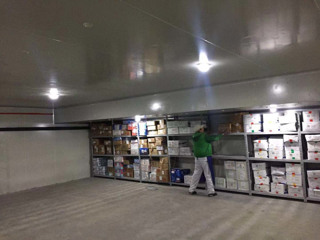 Container Cold Room Cold Storage for Frozen Food Meat State-of-the-Art Technology