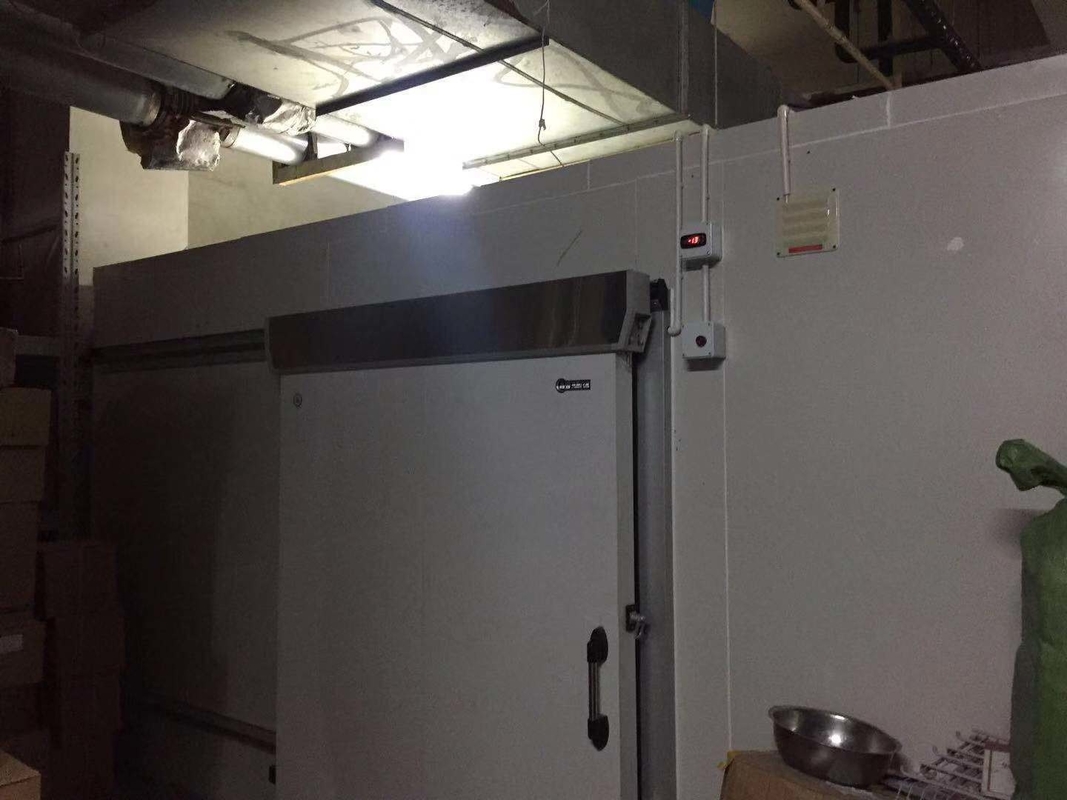Container Cold Room Cold Storage for Frozen Food Meat State-of-the-Art Technology