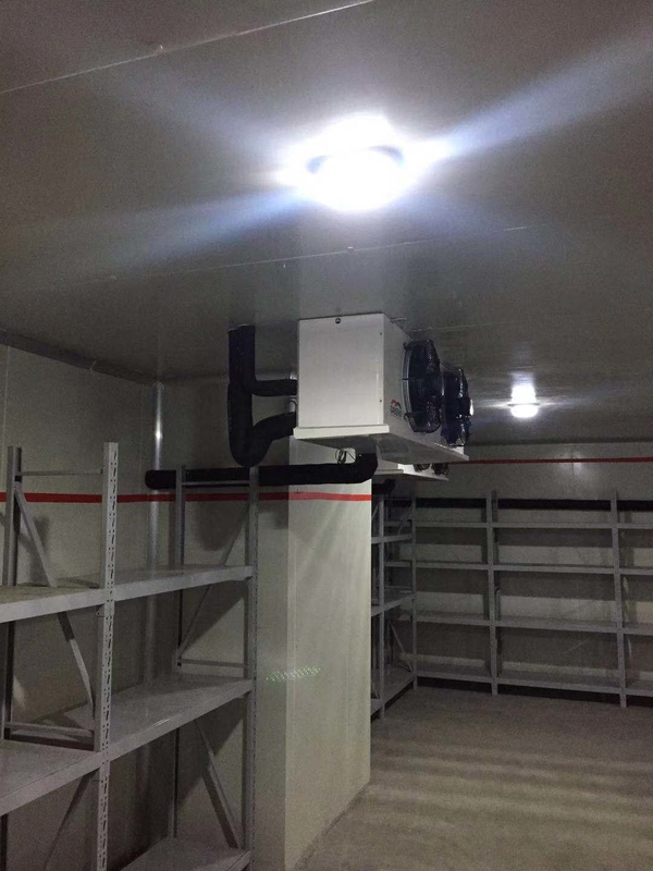 Container Cold Room Cold Storage for Frozen Food Meat State-of-the-Art Technology