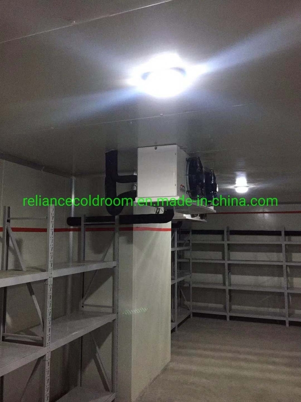 Cold Storage Blast Freezer Walk in Cooler/Chiller/Freezer for Beef Meat Fish -10-0C