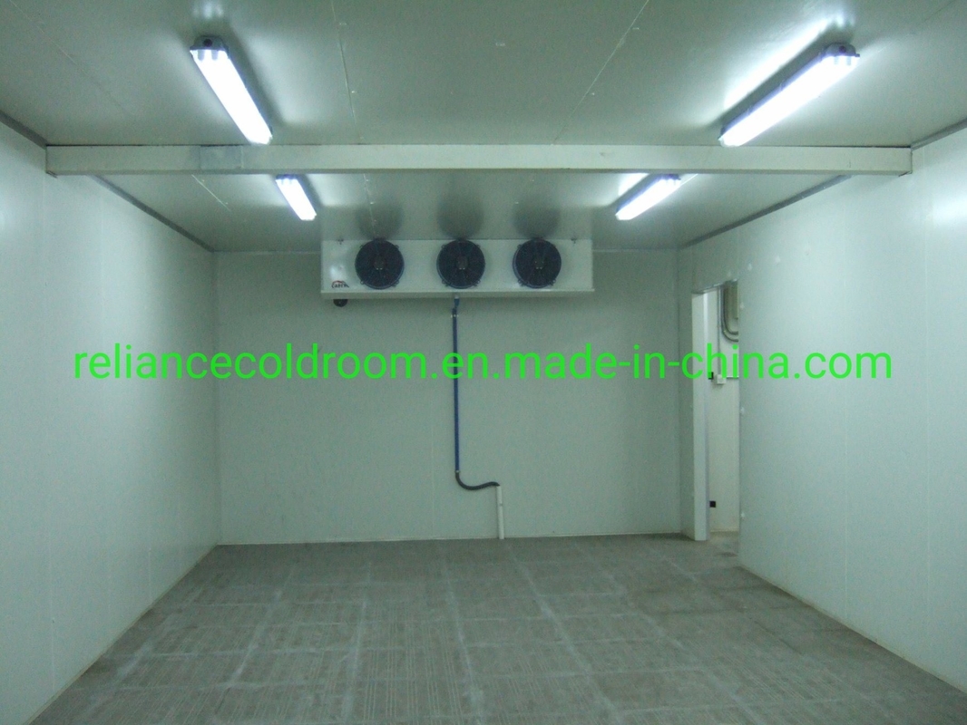 Cold Storage Blast Freezer Walk in Cooler/Chiller/Freezer for Beef Meat Fish -10-0C