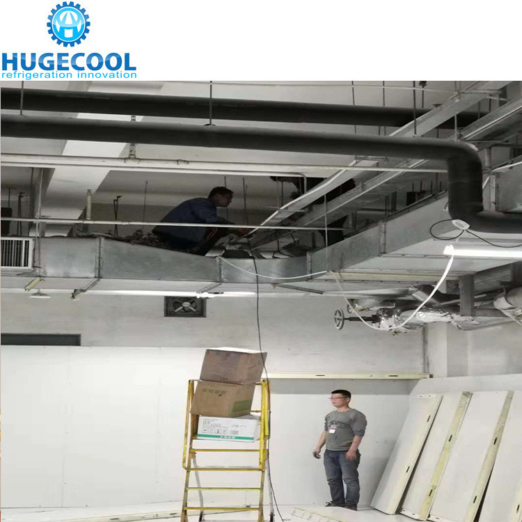 Fish Cold Room with Assembled Structure and Compressor Refrigeration Condensing Unit