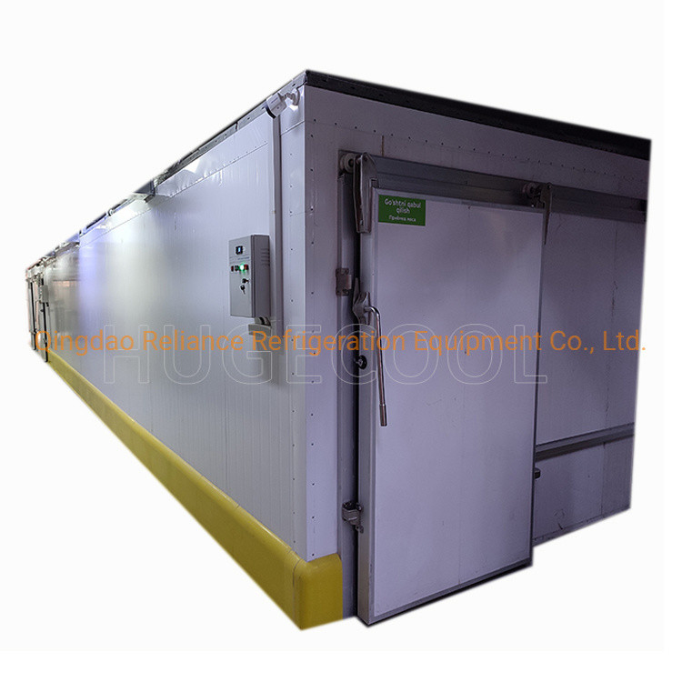 Cold Storage Chiller/Cooler/Freezer Room for Medicine and Produce -10-0C Temperature