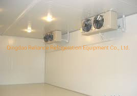 Deep Blast Frozen Freezer for Food -10-0C Sliding Door Commercial Walk in Freezer