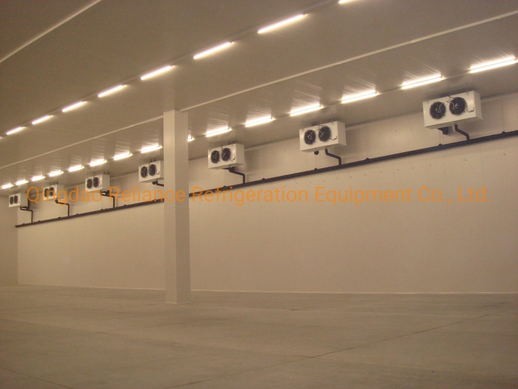 COLDROOM19 Industrial Deep Freezer Cold Storage with Solar Panel Energy Powder and Battery