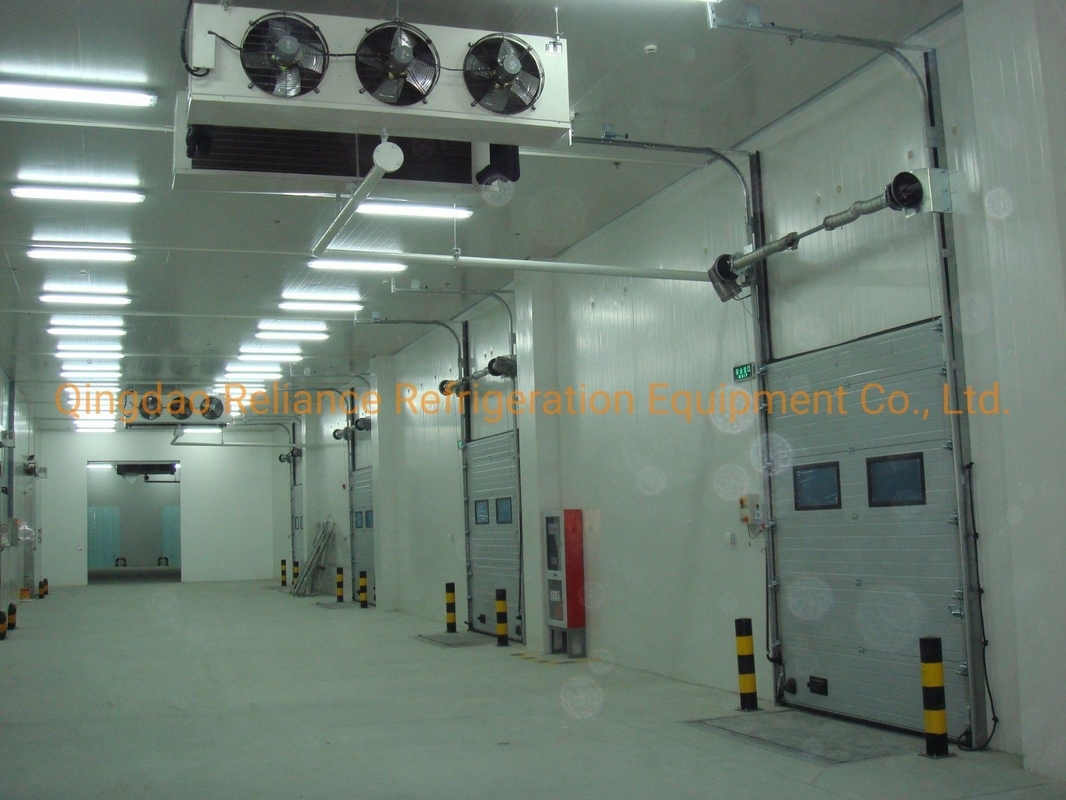COLDROOM19 Industrial Deep Freezer Cold Storage with Solar Panel Energy Powder and Battery