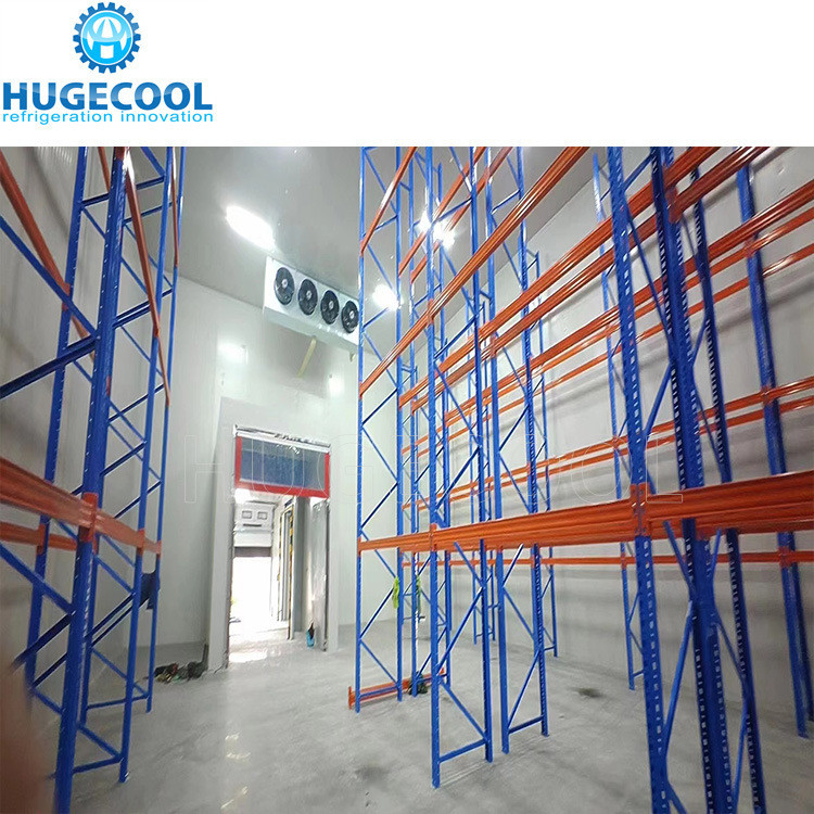 Walk in Cooler/Chiller/Freezer Cold Room for Vegetables and Fruits Customized Request