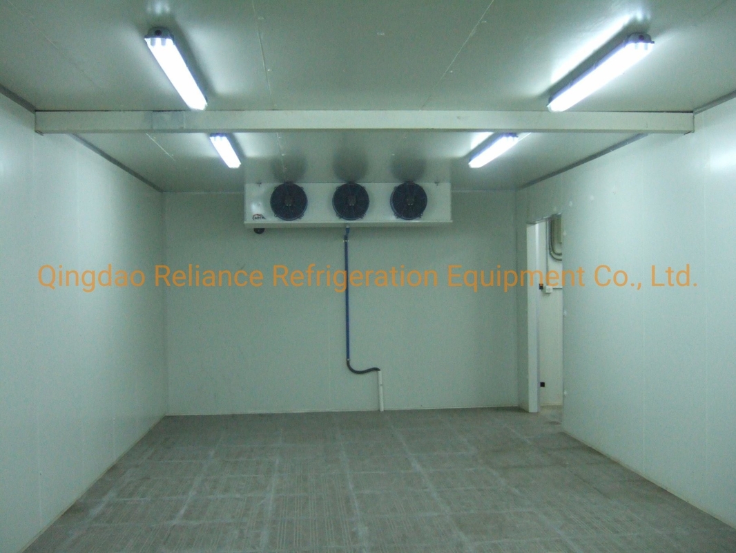 5*5*2.8m -20c Walk in Chiller Storage Cold Room with Small Size and Freon Refrigerant