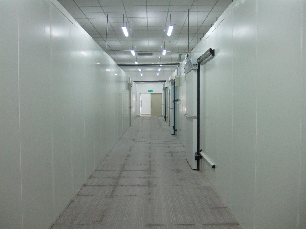 High Density Cold Storage Room Sandwich Panel with Cam Lock -10-0C Customized Request