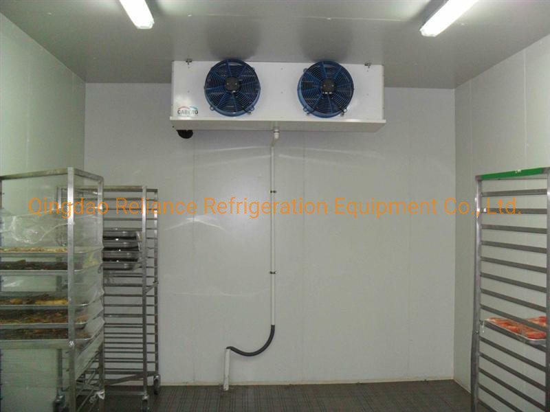Freon Refrigerant Assembled Cold Room for Food Storage and Customized Structure