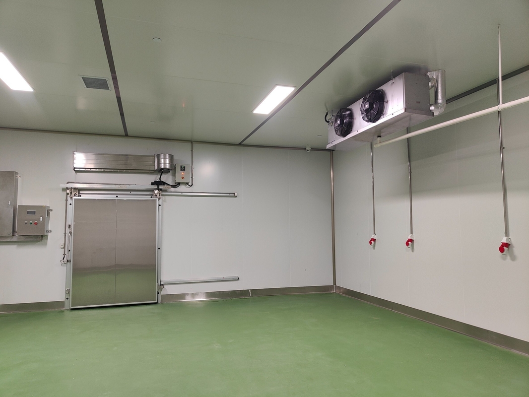 Freon Refrigerant Assembled Cold Room for Food Storage and Customized Structure