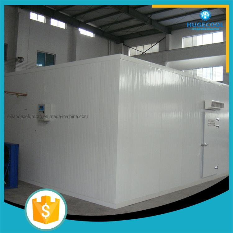 Freon Refrigerant Commercial Cold Room for Meat Fish Food Fruit Chicken and Vegetables