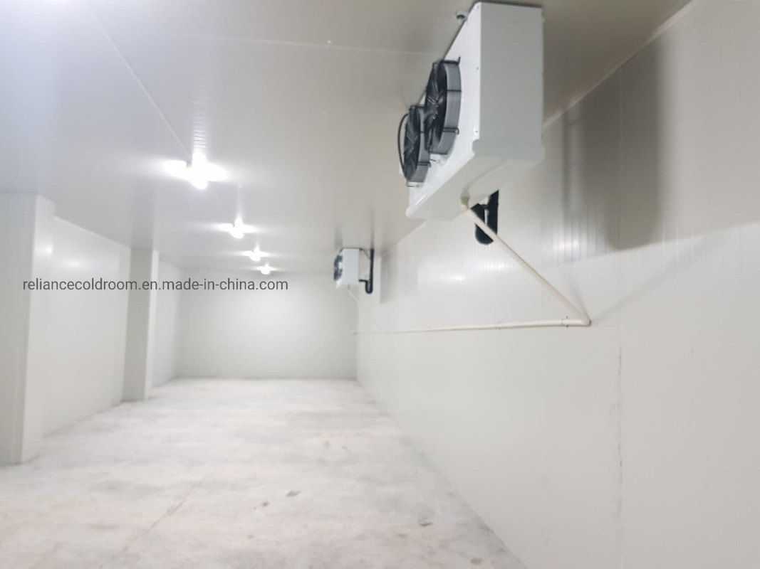 Freon Refrigerant Commercial Cold Room for Meat Fish Food Fruit Chicken and Vegetables