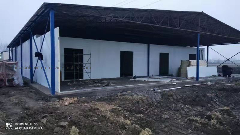 Freon Refrigerant Commercial Cold Room for Meat Fish Food Fruit Chicken and Vegetables
