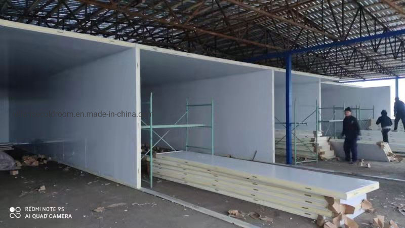 Freon Refrigerant Commercial Cold Room for Meat Fish Food Fruit Chicken and Vegetables