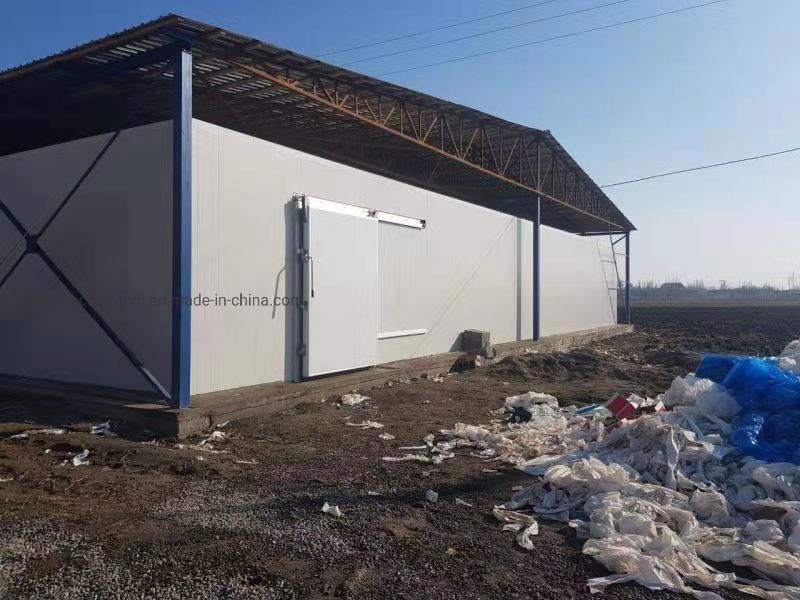 Freon Refrigerant Commercial Cold Room for Meat Fish Food Fruit Chicken and Vegetables