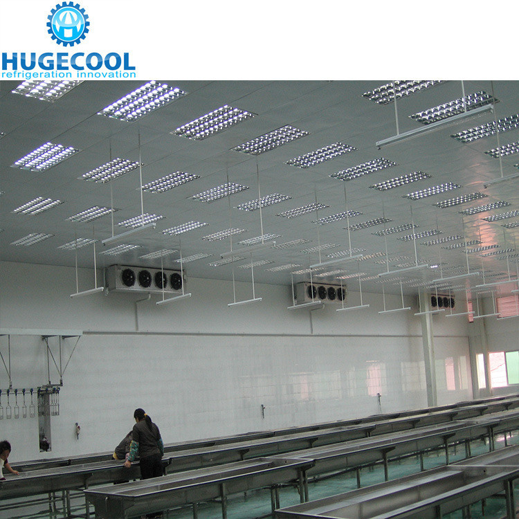 Chicken Beef Cold Room Medium Temp Blast Freezer Refrigeration with -18c Temperature