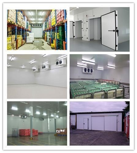 R6X6X3 Medium Size Air Cooled Walk in Cold Room with Panel Condensing Unit Evaporator
