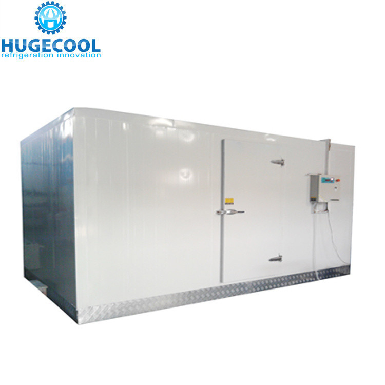 Temperature -18c Industrial Assembled Cool Rooms and Freezer Room with Condensing Unit