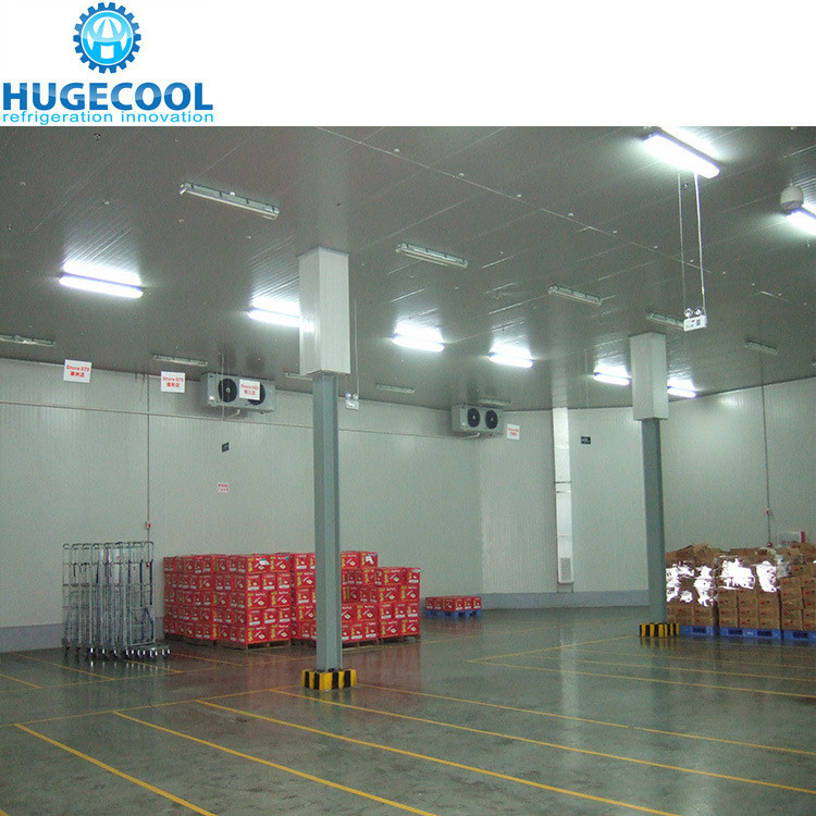 Temperature -18c Industrial Assembled Cool Rooms and Freezer Room with Condensing Unit