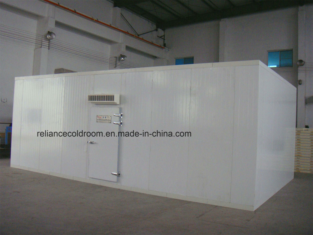 Customized Request Cold Room Storage Direct Cooling Refrigerational Freezer and Chiller