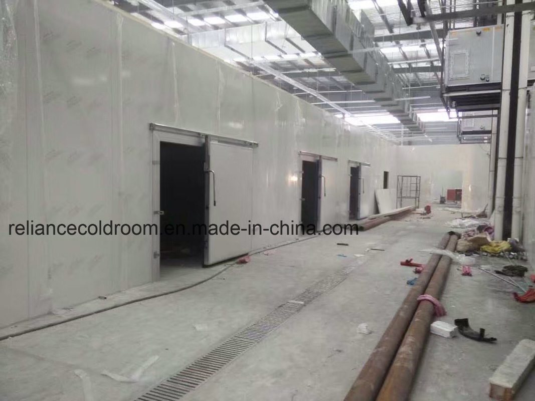 Panel Material PIR Foma Cold Room for Storing Vegetables Meat and Fruits in Logistics