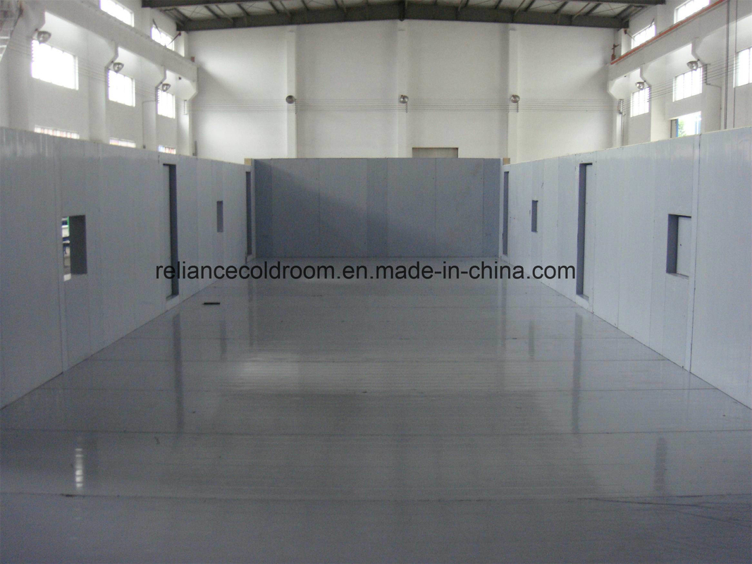 Panel Material PIR Foma Cold Room for Storing Vegetables Meat and Fruits in Logistics