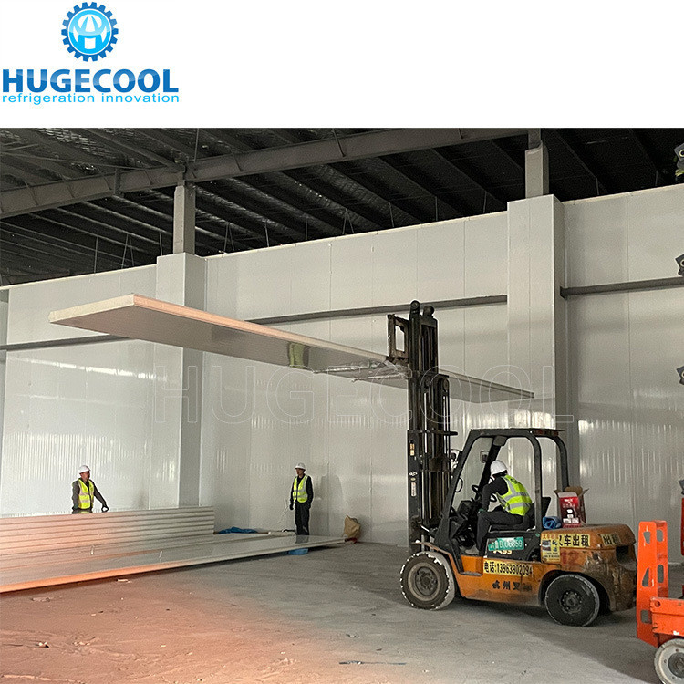 50 Tons Capacity Cold Room for Frozen Fish Walk in Freezer Customized Request Accepted