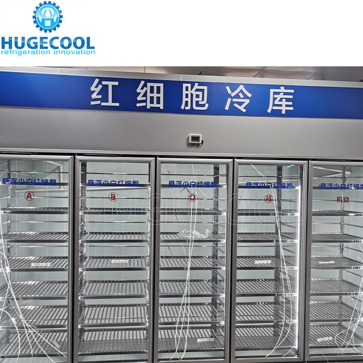 Hugecool Display Walk in Cooler Freezer for Supermarket Large Capacity Cooling System