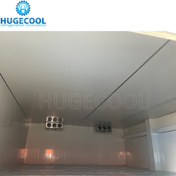Suitable for Seafood Processing Cold Room -18c Temperature Chicken Cold Storage Room