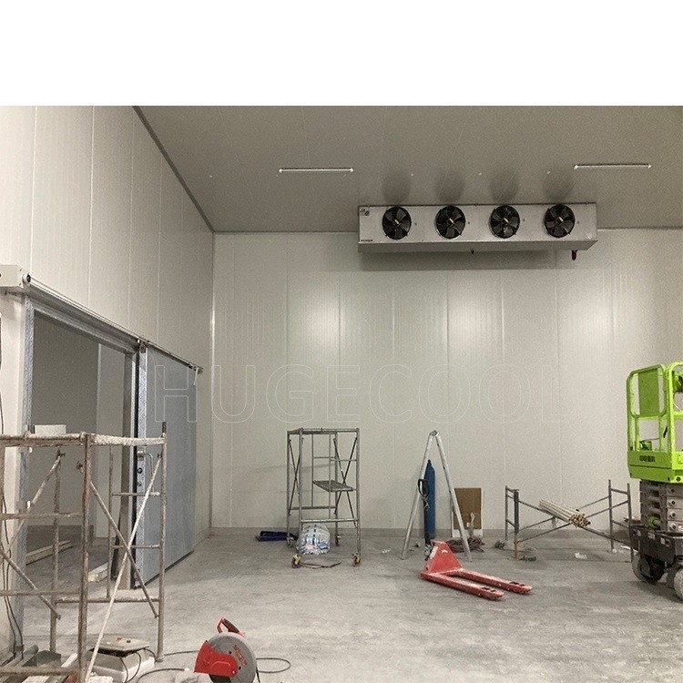 Customized Design Cold Room Walk-in Chiller Freezer for Precise Temperature Management