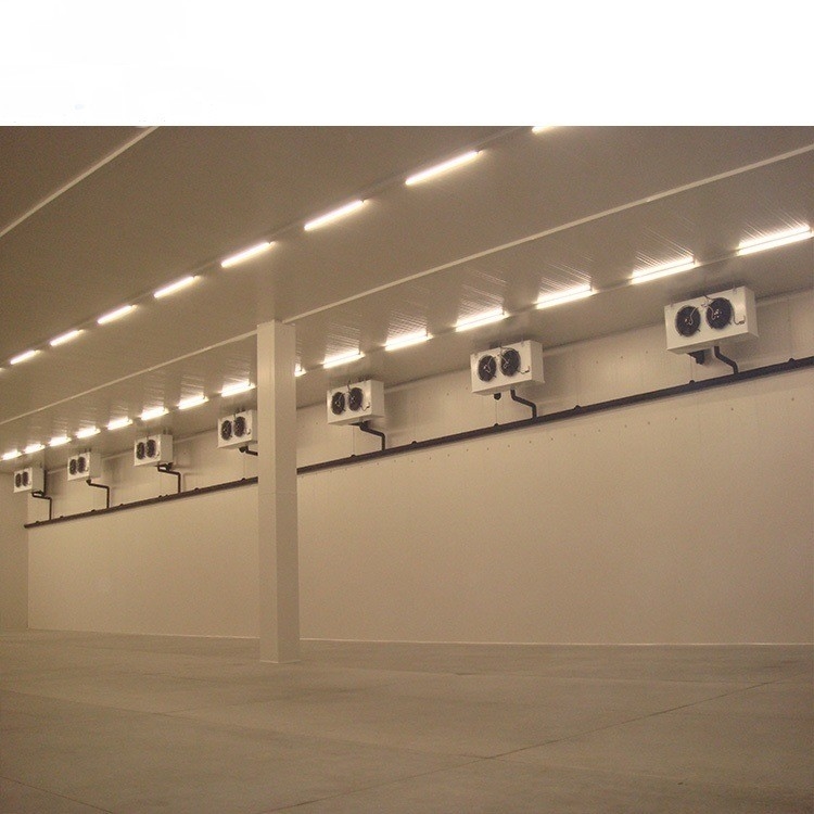 Customized Design Cold Room Walk-in Chiller Freezer for Precise Temperature Management